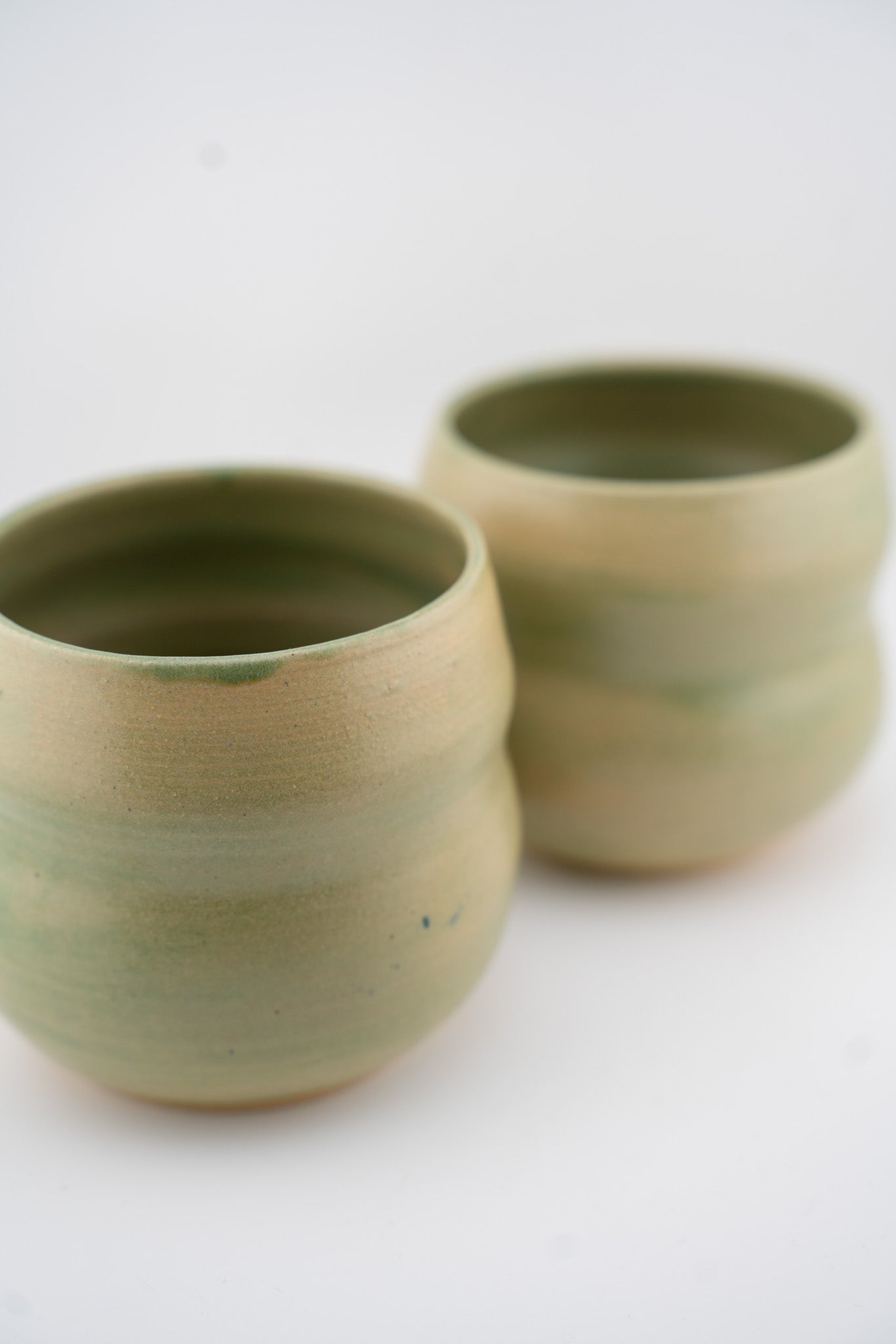 Bubbly Succulent Cup