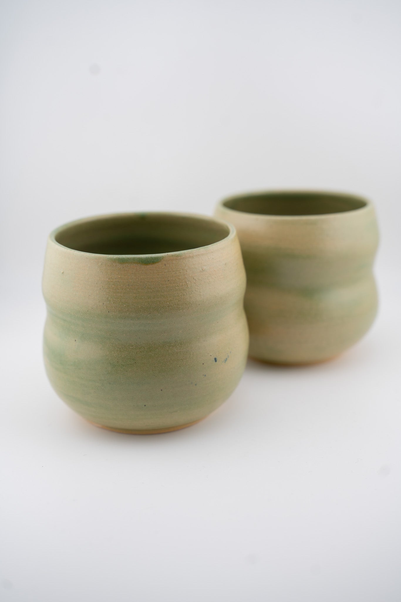 Bubbly Succulent Cup