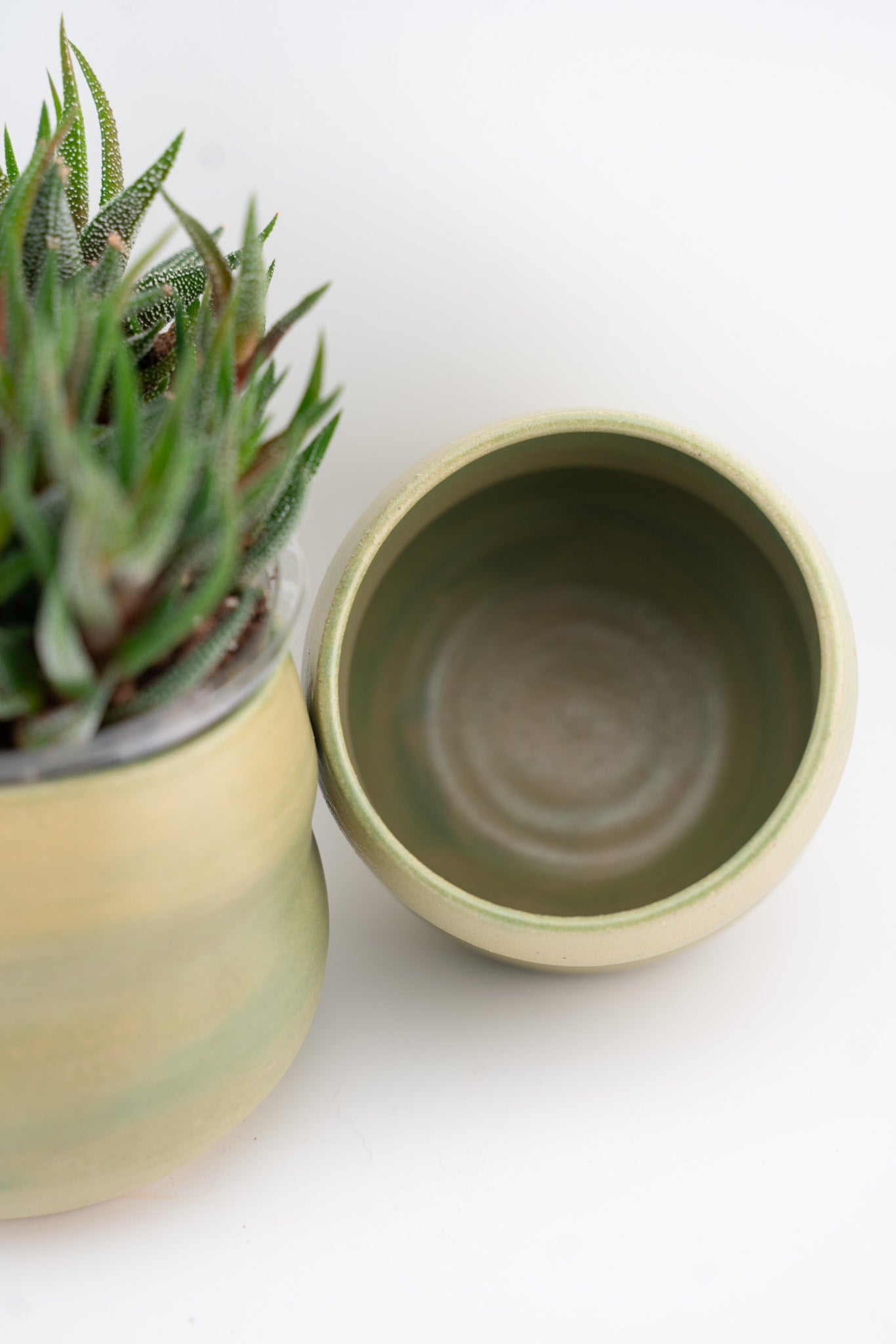 Bubbly Succulent Cup