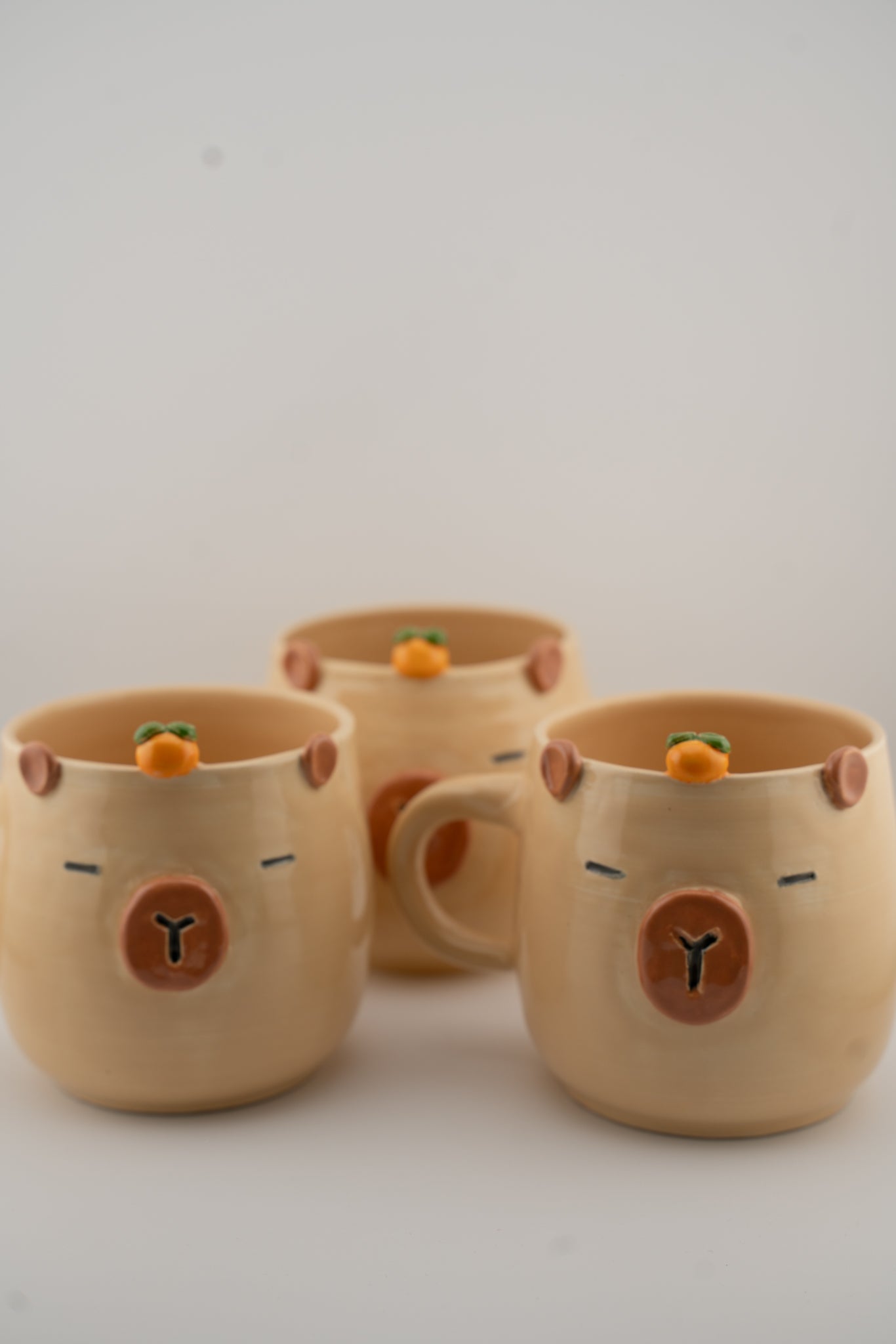 Capybara Mug