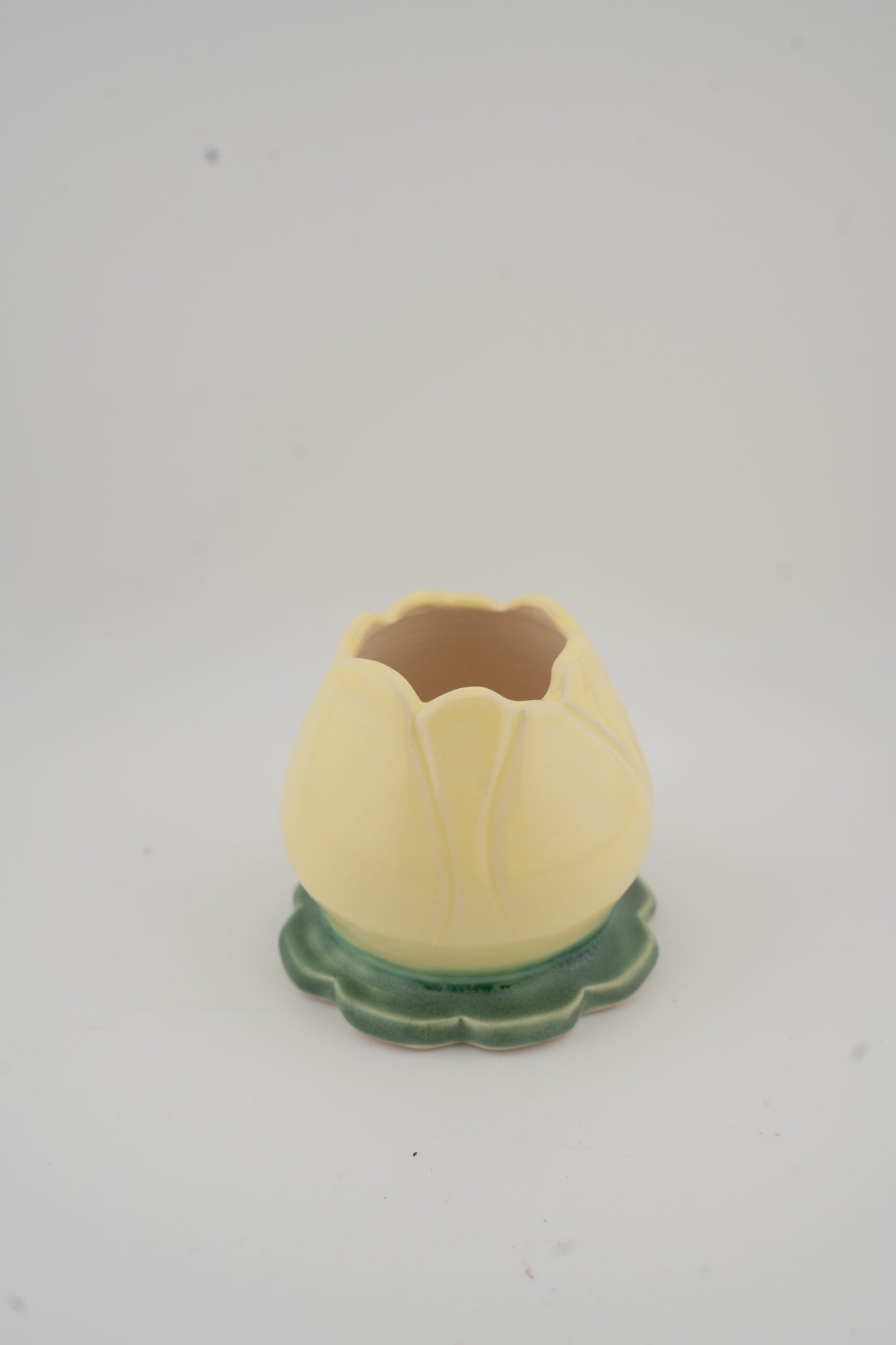Yellow Tulip Matcha Set (set or individual)