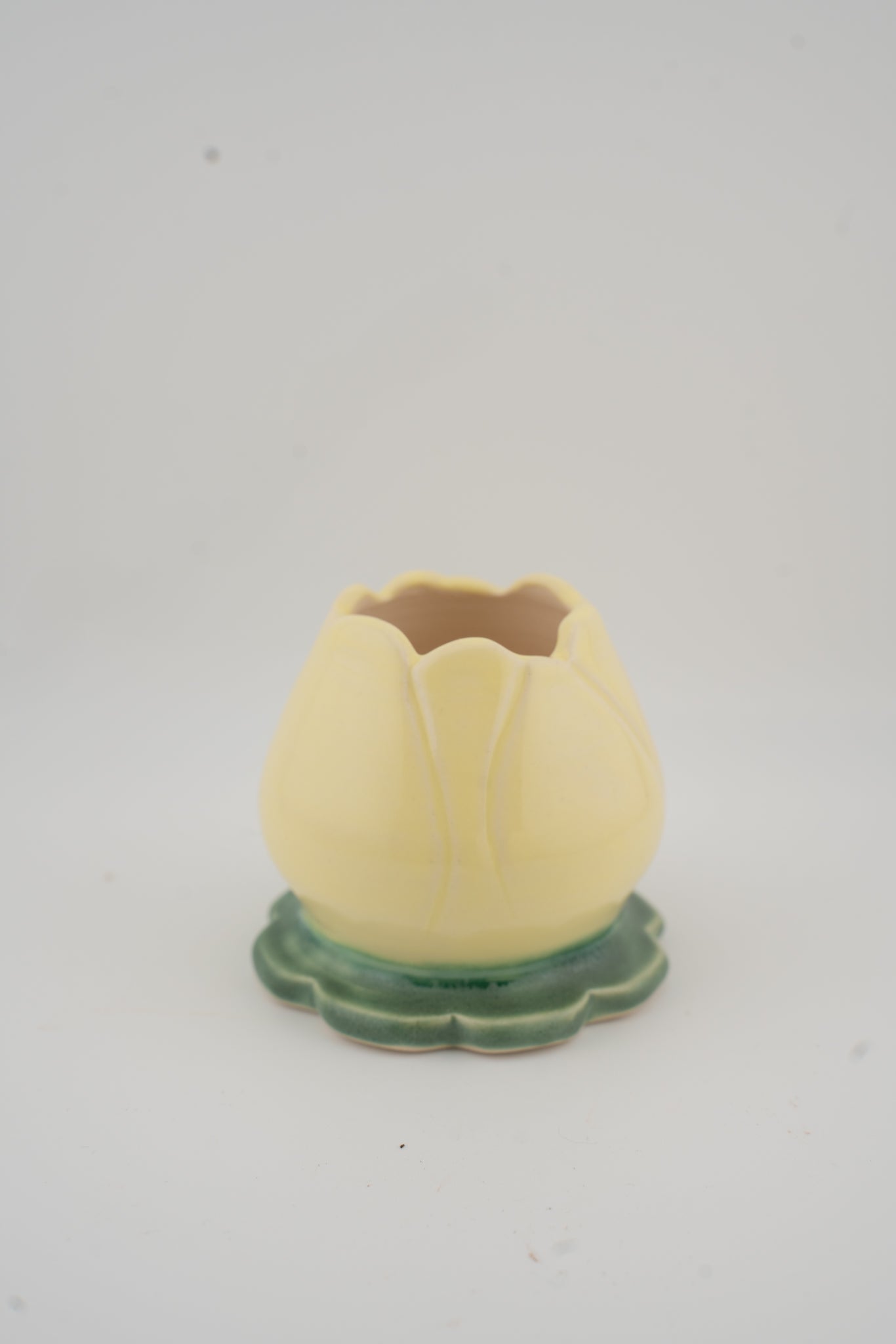 Yellow Tulip Matcha Set (set or individual)